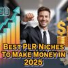 Best PLR Niches to Make Money in 2025 (With Real Examples)